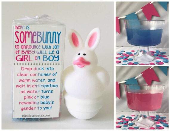 SomeBunny Gender Reveal Fizz Set of 2 Easter Gender Reveal Etsy.