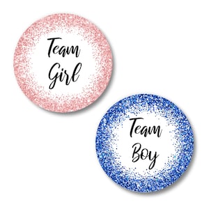 Team Boy & Team Girl Stickers for Gender Reveal Vote | 40 2&quot; Circle Stickers