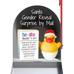 Waddle it Be? Santa Rubber Duck Gender Reveal Fizz by mail | Christmas Pregnancy Announcement | Gift Box with Customized Message