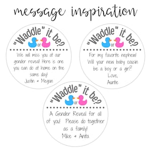 Waddle it Be Rubber Duck Gender Reveal Fizz by mail Pregnancy Announcement Gift Box includes Customized Message image 4