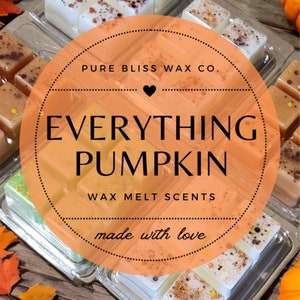 STERK GEURENDE Pompoen Soja Wax Melts | Cadeau-ideeën | Wastaartjes voor warmer | Pick Your Wax Melt Clamshell-geur Pumpkin, Spice, Fall