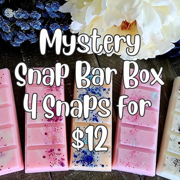 Wax Melt Snap Bar Grab Bag, Soy Wax Melts for Warmer, Mystery Snap Bars Wax Melt Box