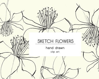 May include: A set of six hand-drawn black and white flower sketches. The flowers are simple and delicate, with a focus on the center of the flower. The text "SKETCH FLOWERS hand drawn clip art" is included in the image. 6 PNG files on transparent background.