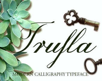 Digital Font | INSTANT DOWNLOAD | Trufla Font | True Type Font |