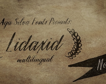 Lidaxid two ttf digital fonts