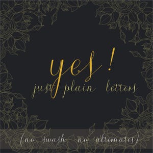 K&ouml;nnte beinhalten: Ein schwarzer Hintergrund mit einer floralen Linienzeichnung als Rand in Gold. Der goldene Schreibschrifttext lautet yes! just plain letters. Darunter steht in wei&szlig;er Schreibschrift (no swash, no alternates). Das Design ist quadratisch.