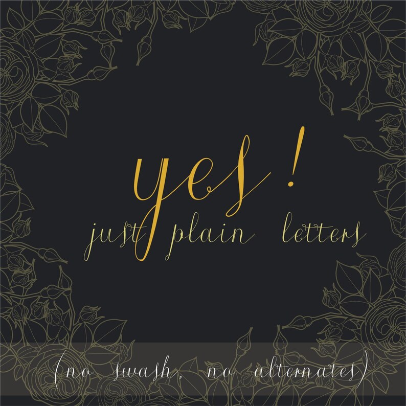 K&ouml;nnte beinhalten: Ein schwarzer Hintergrund mit einer floralen Linienzeichnung als Rand in Gold. Der goldene Schreibschrifttext lautet yes! just plain letters. Darunter steht in wei&szlig;er Schreibschrift (no swash, no alternates). Das Design ist quadratisch.