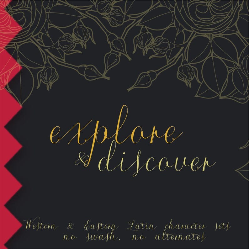K&ouml;nnte beinhalten: Eine schwarze quadratische Grafik mit goldenen Linienzeichnungen von Rosen und Knospen am oberen Rand. Der Text "explore & discover" steht in goldener Schreibschrift in der Mitte. Darunter erscheint der Text "Western & Eastern Latin character sets no swash, no alternates" in Gold. Ein roter Zickzack-Rand befindet sich auf der linken Seite.