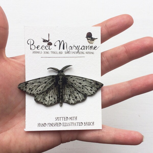 Broche de la polilla / / joyería insectos--manchado polilla se ilustra