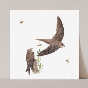Swift Print