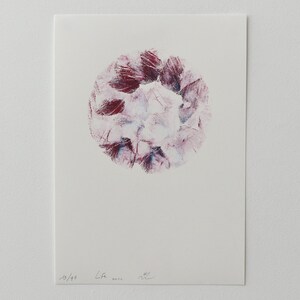 Life - 13/43