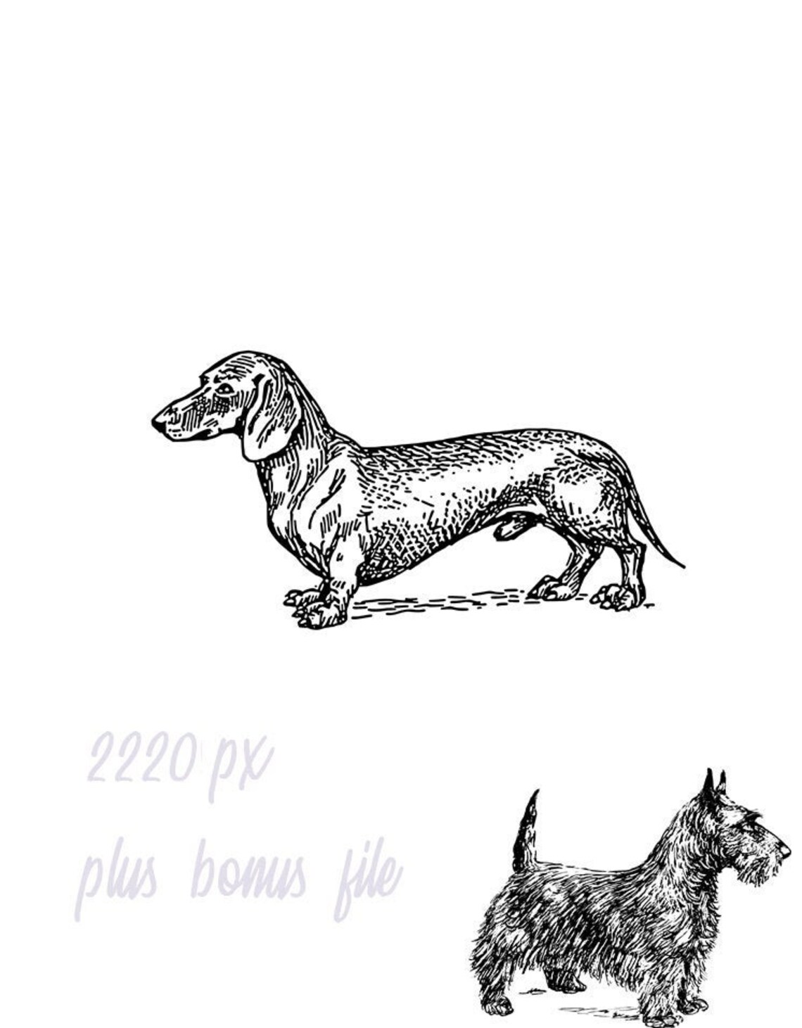 Dogs Clipart, Black and White Digital Download, Weiner Dogs, Dachshund, You Print, Scrapbooking
