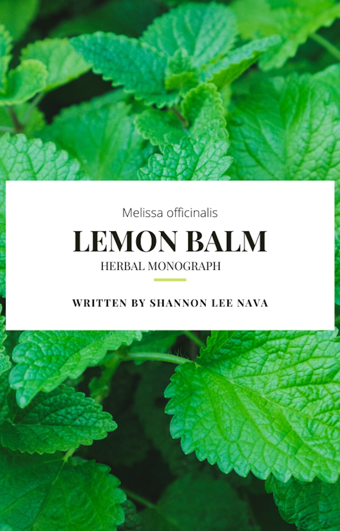 EBook Lemon Balm Herbal Monograph Instant Etsy
