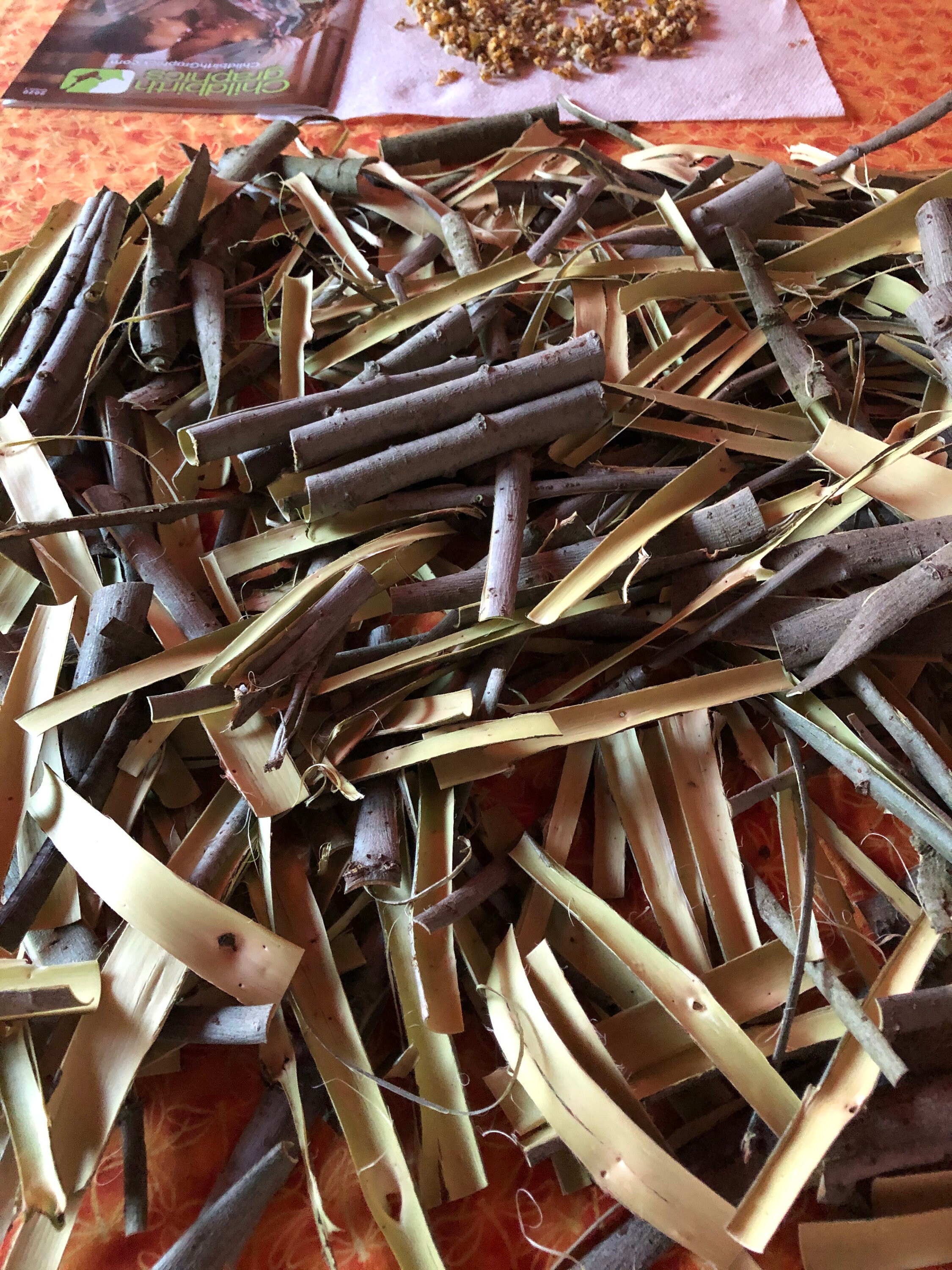 White Willow Bark Wildcrafted Medicine Freshly Harvested and Etsy