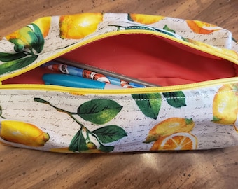 Reusable, washable, zipper closure pencil cases - lemons - kid approved!