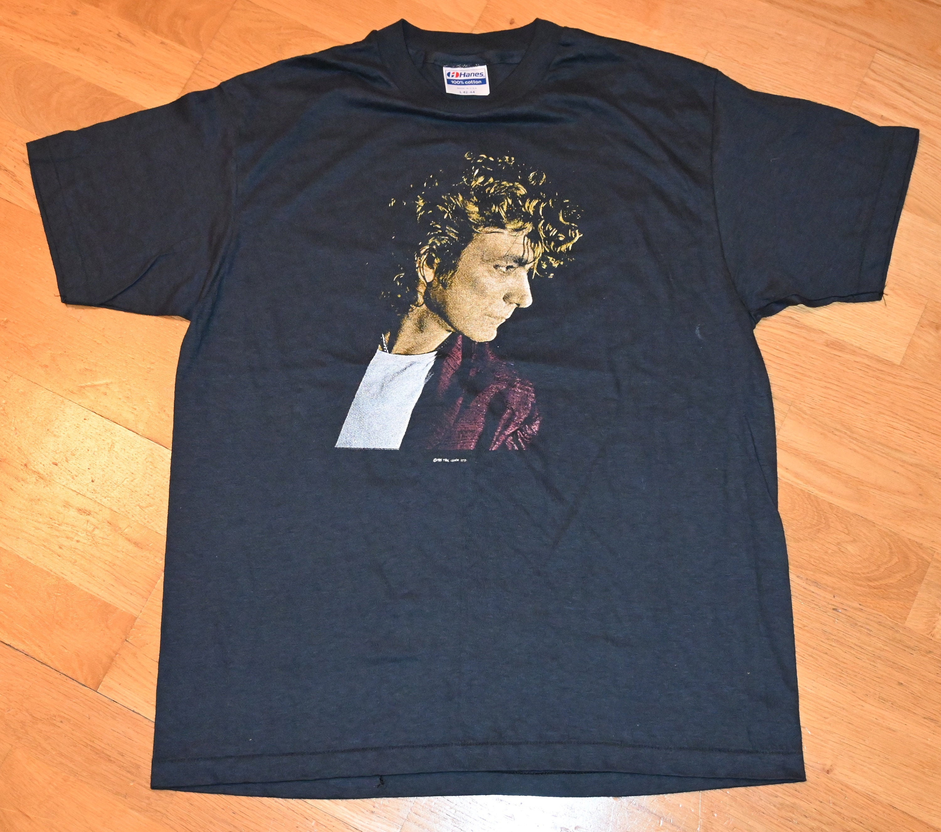 Robert Plant and Jimmy Page T Shirts 