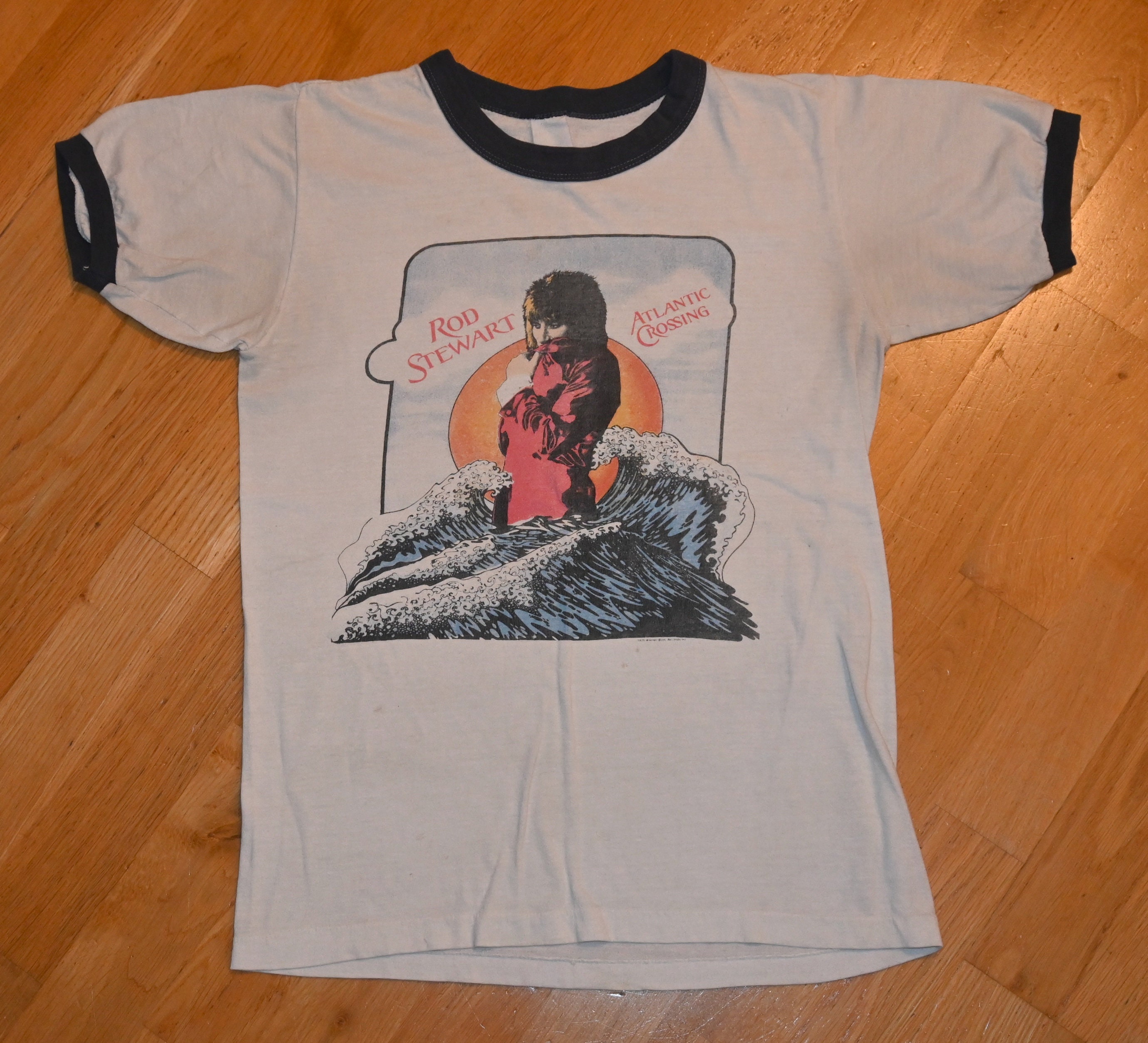Rod Stewart T Shirt - Etsy