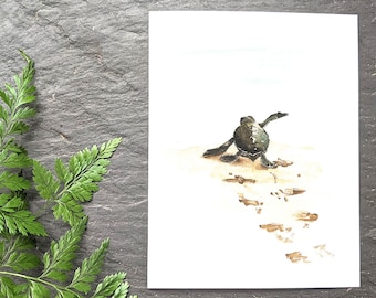 Baby turtle note card, marine greeting card, seaside stationary, blank card