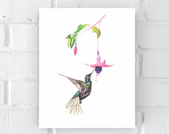 Emerald Hummingbird Print - Watercolor Decor - Bird print - Art for home