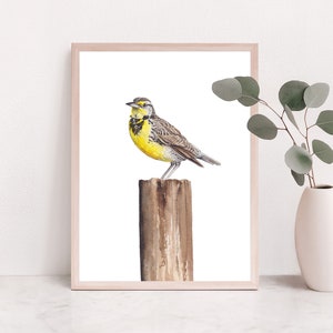 Western Meadowlark decor, Bird wall art, wildlife watercolor, Bird Painting, bird nursery, meadowlark watercolor, bird watcher gift
