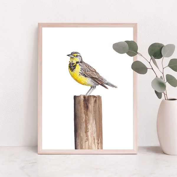 Western Meadowlark decor, Bird wall art, wildlife watercolor, Bird Painting, bird nursery, meadowlark watercolor, bird watcher gift