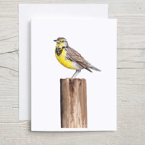 Western Meadowlark card, State bird stationary, bird stationary, birdwatchers gift, greeting card set of 4 or 8