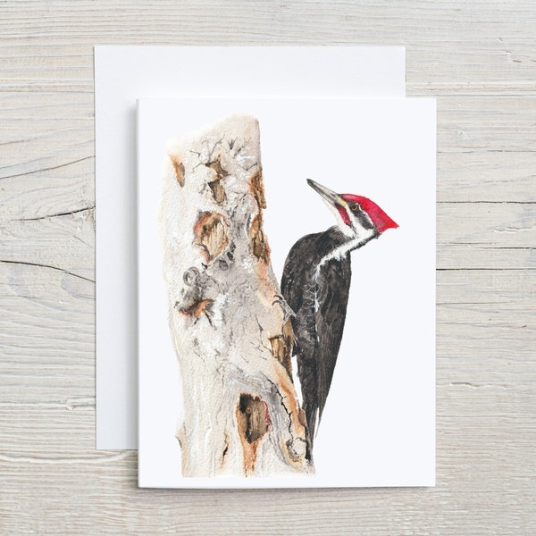 Woodpecker note card, pileated woodpecker, bird greeting card, backyard birds stationary, folded blank card