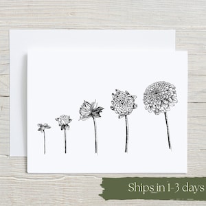 Dahlia Growth Stages Card - Black and White Botanical Illustration for Flower Lovers, Gardener Gift, botanical stationary, Blank Greeting