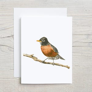 American Robin Card - Nature-Inspired Bird Illustration for All Occasions, Watercolor Bird Art - Stationery for Bird Lovers, set of 4 or 8