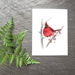 Cardinal Greeting Cards