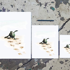 May include: Three watercolour paintings of baby sea turtles walking on the beach. The paintings are in different sizes, with the largest painting showing the turtle furthest away from the ocean.