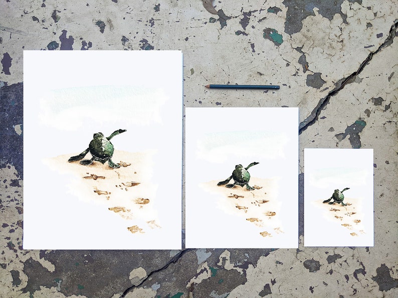 May include: Three watercolour paintings of baby sea turtles walking on the beach. The paintings are in different sizes, with the largest painting showing the turtle furthest away from the ocean.