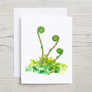 Fiddlehead Fern Watercolor Greeting Card - Blank Nature-Inspired Botanical Card for Any Occasion, folded blank card, set of 4 or 8