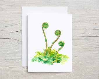 Fiddlehead Fern Watercolor Greeting Card - Blank Nature-Inspired Botanical Card for Any Occasion, folded blank card, set of 4 or 8