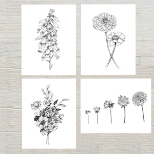 Elegant Black and White Botanical Note Card Set – Floral Pen and Ink Illustrations, folded cards with envelopes -set of 4 or 8