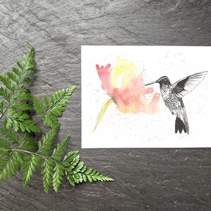 Pu&ograve; includere: Un'illustrazione in bianco e nero di un colibr&igrave; che volteggia vicino a un dipinto ad acquerello di un fiore rosa e giallo.