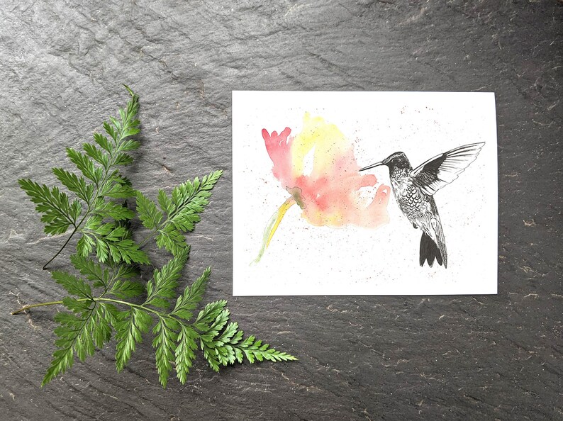Pu&ograve; includere: Un'illustrazione in bianco e nero di un colibr&igrave; che volteggia vicino a un dipinto ad acquerello di un fiore rosa e giallo.