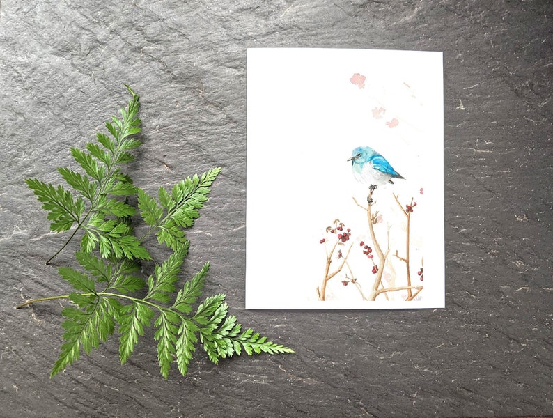 Bluebird note card greeting card bird stationary