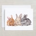 see more listings in the Animal Cards section