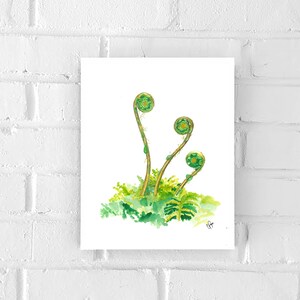 Fiddleheads Print - Watercolor Decor - botanical print - Art for the home