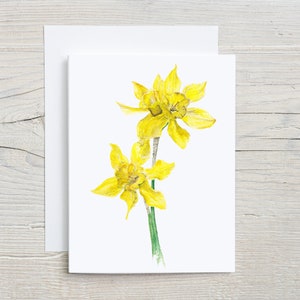 Daffodil note card, spring greeting card, botanical stationary, folded blank card, set of 4 or 8