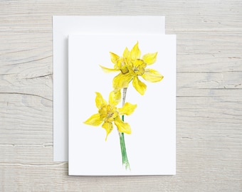 Daffodil note card, spring greeting card, botanical stationary, folded blank card, set of 4 or 8