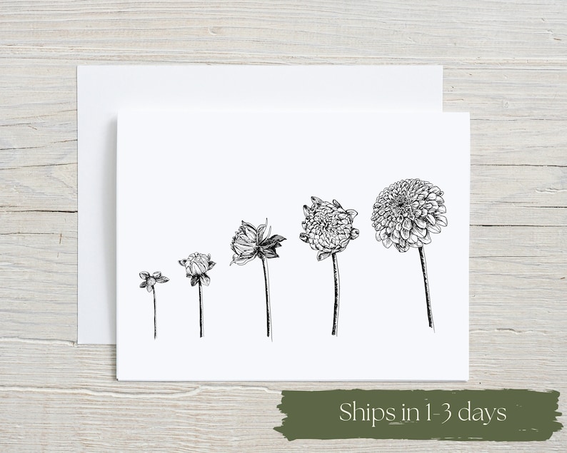 Dahlia Note Card Growth stages note card botanical stationary greeting card image 1