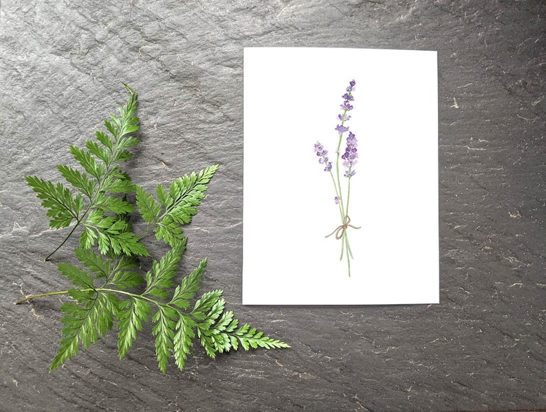 Pu&ograve; includere: Un dipinto ad acquerello di un mazzo di fiori di lavanda legati con uno spago su uno sfondo bianco.