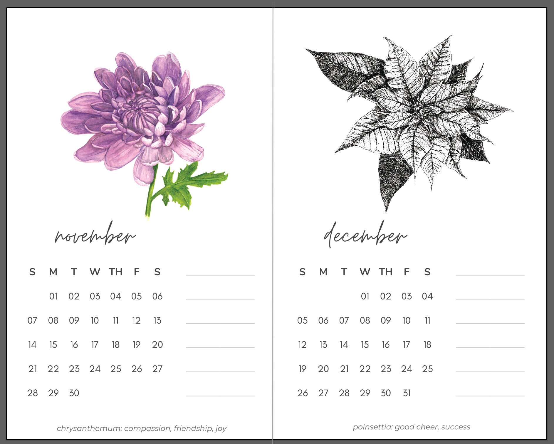 2021 Floral Wall Calendar Watercolor and Ink Botanical 2021 Etsy