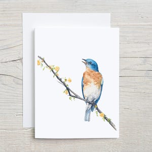 Watercolor Bluebird Card - Nature-Inspired Bird Illustration Card, bird stationary -wildlife greeting card - card set of 4 or 8