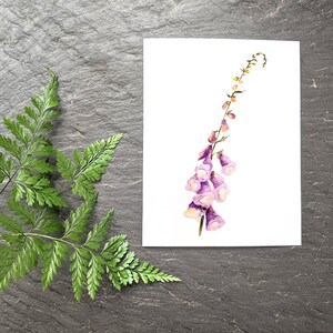 Pu&ograve; includere: Un dipinto ad acquerello di un fiore viola con un lungo stelo e foglie verdi. Il fiore &egrave; dipinto su uno sfondo bianco.