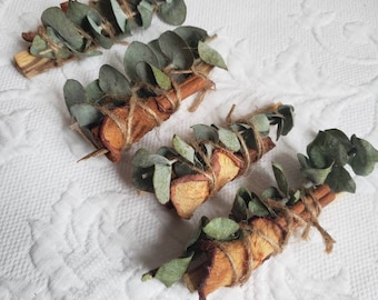 May include: Four bundles of dried apple slices, cinnamon sticks, and eucalyptus leaves tied together with twine.