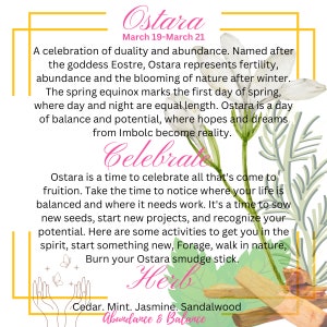 May include: A watercolor illustration of a white flower with green leaves. The text "Ostara" is written in a yellow box at the top of the image. The text "March 19-March 21" is written below "Ostara". The text "Celebrate" is written in pink below the flower. The text "Herb" is written in pink below the flower. The text "Cedar. Mint. Jasmine. Sandalwood" is written below "Herb". The text "Abundance & Balance" is written below "Cedar. Mint. Jasmine. Sandalwood".