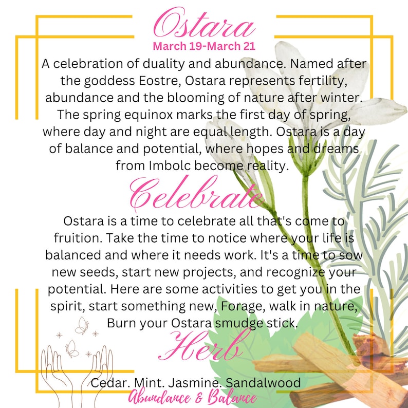 May include: A watercolor illustration of a white flower with green leaves. The text "Ostara" is written in a yellow box at the top of the image. The text "March 19-March 21" is written below "Ostara". The text "Celebrate" is written in pink below the flower. The text "Herb" is written in pink below the flower. The text "Cedar. Mint. Jasmine. Sandalwood" is written below "Herb". The text "Abundance & Balance" is written below "Cedar. Mint. Jasmine. Sandalwood".